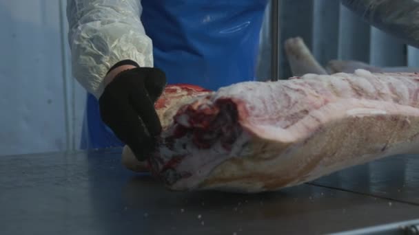 Raw frozen meat piece saw factory industry — Stock Video