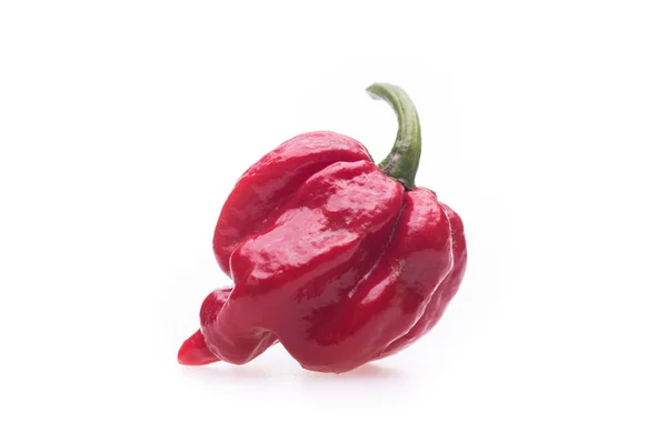 Trinidad Moruga Akrep