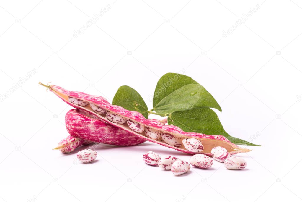 Common beans on white background