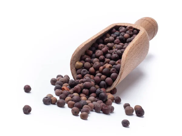 Roveja Bean pisum sativum — ストック写真