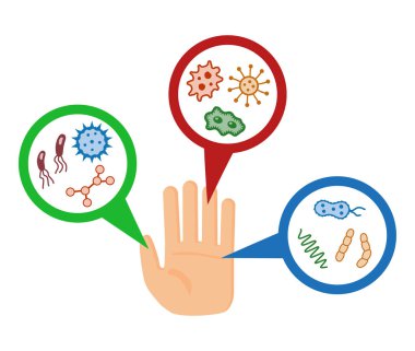 bakteri, mikrop Büyüteç altında.