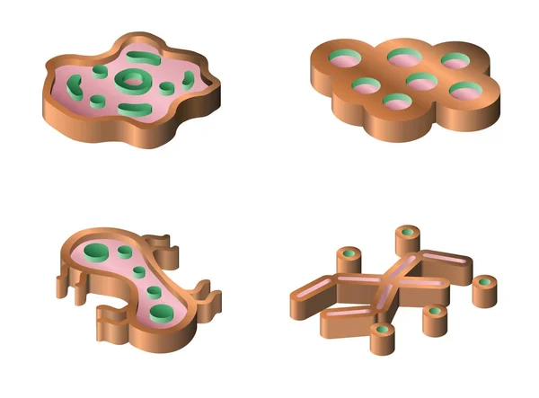 Set of bacteria and virus isometric icons. — Stock Vector