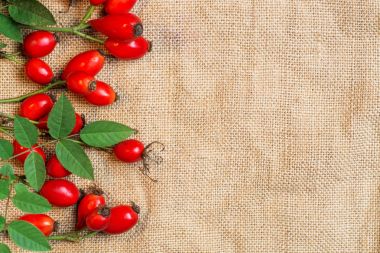 Şifalı bitkiler ve otlar kompozisyon: köpek gül, grup kuşburnu şube, farklı türleri Rosa canina kalça üzerine beyaz