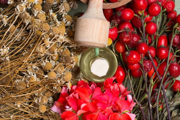 Medicinal plants and herbs composition: Dog rose, bunch branch Rosehips, Different types Rosa canina hips, essential oil. bunch, Tea with rosehip, Tansy, Anise, dried flowers of linden and chamomile — Stock Photo, Image