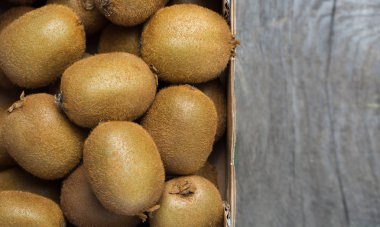 Sulu kivi ahşap arka plan, metin için yer. seçici odak