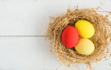 Renkli yumurta yuvada ahşap arka plan, seçici odak resim üzerinde. Mutlu Paskalya kartı - metin için yer