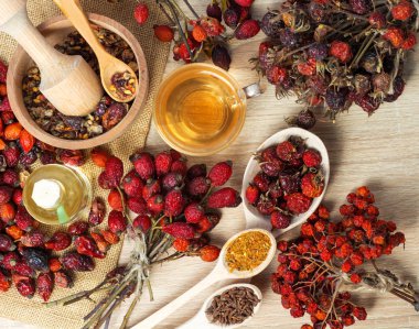 Şifalı bitkiler ve otlar kompozisyon: köpek rose, grup şube kuşburnu, türleri Rosa canina kalça bitkisel çay