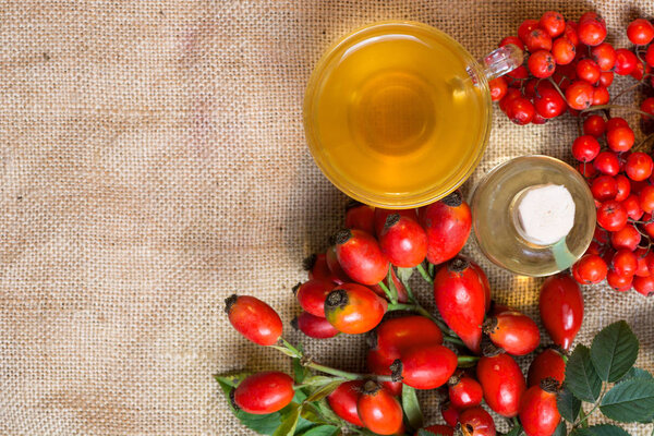Herbal tea and essential oil on bagging fabric - Dog rose, bunch branch Rosehips, types Rosa canina. Space for text