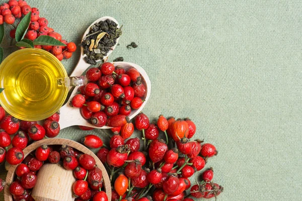 Tanaman obat dan komposisi herbal: Bangkit anjing, banyak cabang Rosehips, jenis Rosa canina pinggul, minyak esensial. Sekelompok, Teh Herbal dengan rosehip, bunga kering linden dan chamomile apotek — Stok Foto