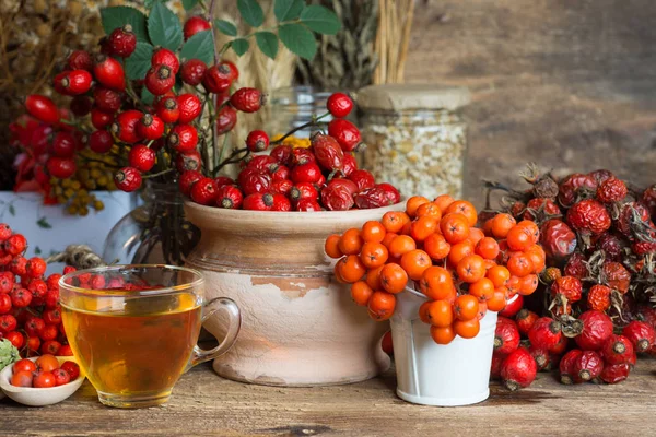 Medicinal plants and herbs composition: Dog rose, bunch branch Rosehips, types Rosa canina hips, essential oil. bunch,Herbal Tea with rosehip, dried flowers of linden and chamomile - pharmacy — Stock Photo, Image