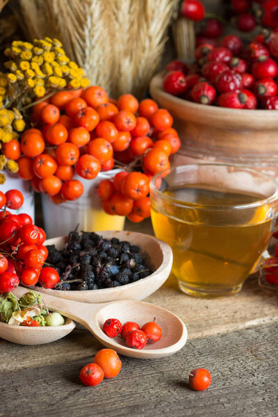 Medicinal plants and herbs composition: Dog rose, bunch branch Rosehips, types Rosa canina hips, essential oil. bunch,Herbal Tea with rosehip, dried flowers of linden and chamomile - pharmacy