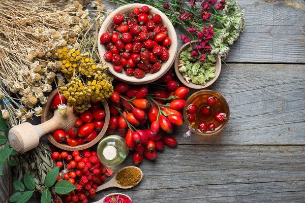 Plantas medicinales y composición de hierbas: Rosa de perro, rama de racimo Rosehips, tipos Rosa canina caderas, aceite esencial. ramo, té de hierbas con rosa mosqueta, flores secas de tilo y manzanilla - farmacia — Foto de Stock