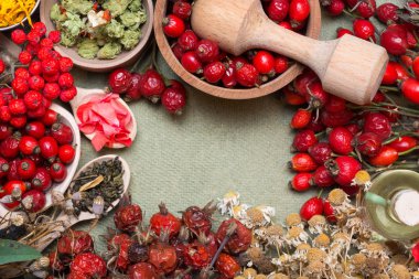 Şifalı bitkiler ve otlar kompozisyon: köpek rose, grup şube kuşburnu, Rosa canina kalça, uçucu yağ türleri. Grup, Kuşburnu, bitkisel çay ıhlamur ve papatya - eczane çiçek kurutulmuş