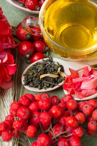 Plantas medicinais e composição de ervas: Dog rose, ramo de cacho Rosehips, tipos Rosa canina quadris, óleo essencial. ramo, Chá de ervas com rosa mosqueta, flores secas de tília e camomila - farmácia — Fotografia de Stock