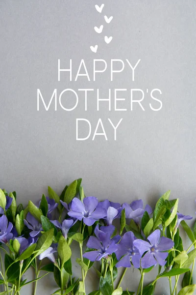 happy mother\'s day card. bouquet of blue flowers, a place with text