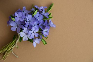 Cezayir menekşesi - çiçek buketi. metin için yer. Romantik Tarih, davet, tatlı dilek kavramı