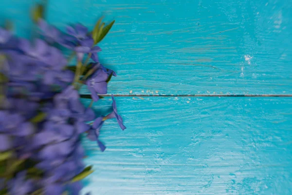 Vinca - Blumenstrauß. Raum für Text. romantisches Date, Einladung, süßes Wunschkonzept — Stockfoto