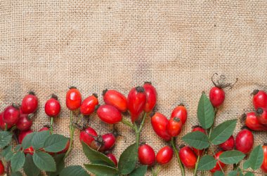 Şifalı bitkiler ve otlar kompozisyon: köpek gül, grup kuşburnu şube, farklı türleri Rosa canina kalça üzerinde çul