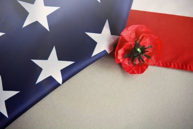 Metin anma günü Amerikan bayrağı ve bir haşhaş çiçek arka plan