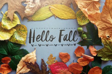 Sonbahar kartı, yaprak sonbahar kompozisyon Merhaba. Vintage orman filtre 