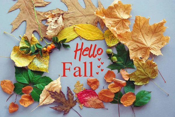Hello Fall card, Autumn composition from leaf. Винтажный лесной фильтр — стоковое фото