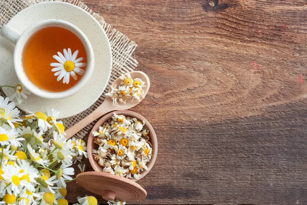 Tasse Kamillentee mit Kamillentrockenblüten, getrockneten Kamillenblüten. ärztliche Behandlung und Prävention des Immunkonzepts, Medizin - Volks-, Alternativ-, Komplementär-, Traditionelle Medizin — Stockfoto