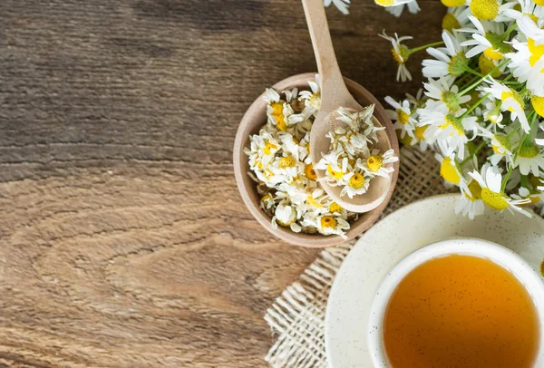 Papatya kuru çiçekleri, kurutulmuş papatya çiçekleri ile bitkisel papatya çayı fincan. Doktor tedavi ve Önleme kavramının bağışıklık, tıp - halk, alternatif, tamamlayıcı, geleneksel tıp