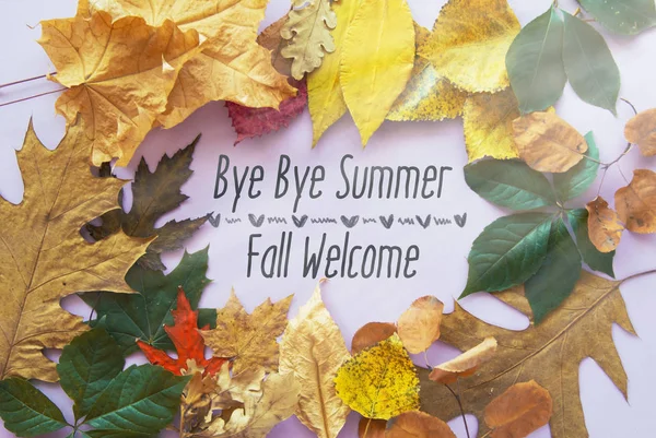 Bye kort Bye sommar, Välkommen höst sammansättning från hösten blad. Vintage skog filter — Stockfoto