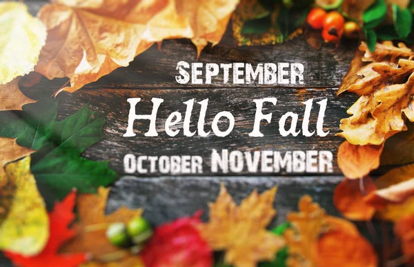 Hello Autumn card, Fall composition from leaf. vintage forest filter — Stock Photo, Image