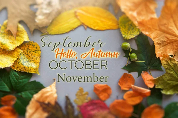 Привіт Осіння листівка, осінь композиція з листа. вінтажний лісовий фільтр — стокове фото