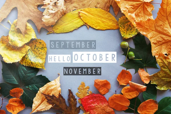 Карточка Hello October, Осенняя композиция из листьев. Винтажный лесной фильтр — стоковое фото