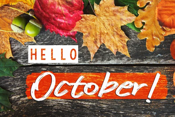 Hola tarjeta de octubre, composición de otoño de hoja. filtro forestal vintage —  Fotos de Stock