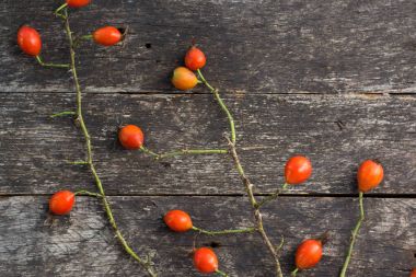 ahşap arka plan üzerinde köpek rose HIPS