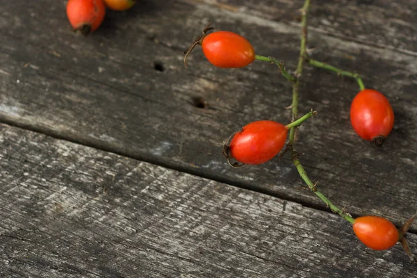 ahşap arka plan üzerinde köpek rose HIPS