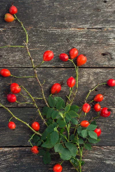 ahşap arka plan üzerinde köpek rose HIPS
