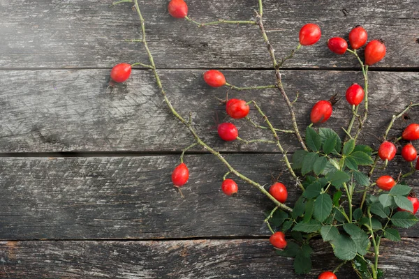 Dog rose hips on wooden  background — Stock Photo, Image