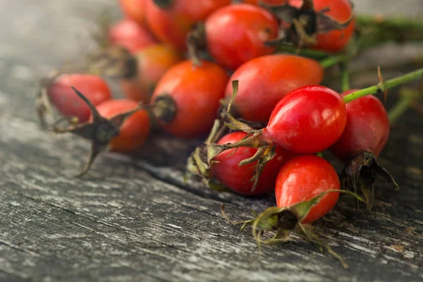ahşap arka plan üzerinde köpek rose HIPS