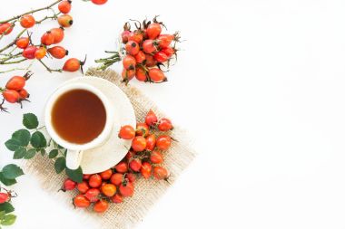 köpek rose hips ve beyaz arka plan üzerinde bitki çayı 