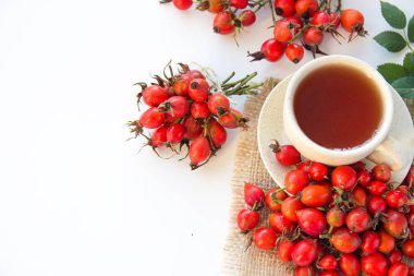 köpek rose hips ve beyaz arka plan üzerinde bitki çayı