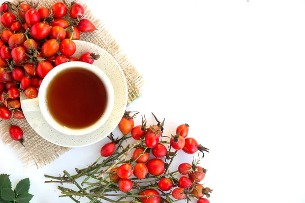 köpek rose hips ve beyaz arka plan üzerinde bitki çayı