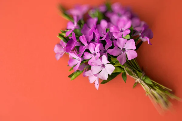 Vinca - bouquet de fleurs. note de forme de coeur Date romantique, invitation, concept de vœu doux. espace pour le texte — Photo