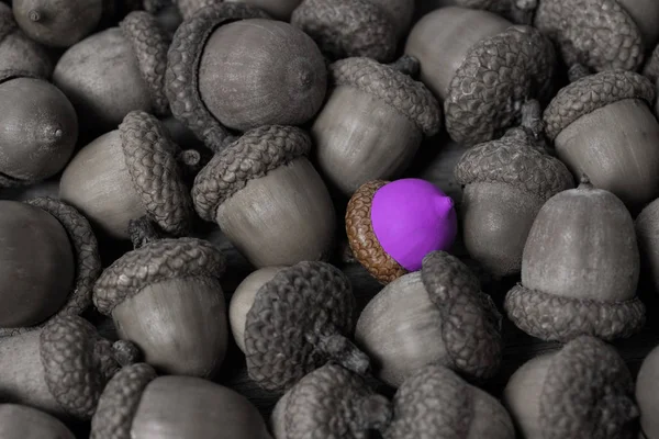 Bolota colorida contra de bolotas ordinárias visão abstrata ser diferente, personalidade única ou se destacar da multidão, qualidade de liderança. bonito ainda vida fundo — Fotografia de Stock