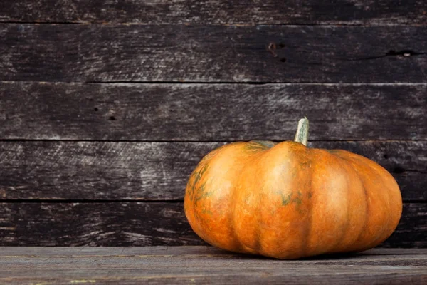 Kabak Şükran arka plan