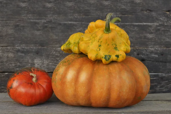 Kabak Şükran arka plan