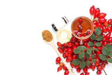Medicinal plants and herbs composition: Dog rose, bunch branch Rosehips, types Rosa canina hips, essential oil. bunch, Tea with rosehip  clipart