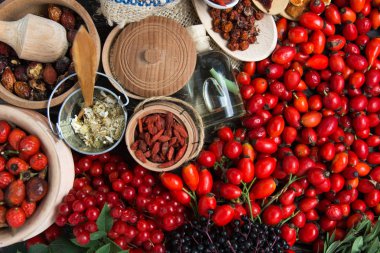 Şifalı bitkiler ve otlar kompozisyon: köpek rose, grup şube kuşburnu, Rosa canina kalça, uçucu yağ türleri. bir grup, ıhlamur ve papatya elderberries ve goji meyveleri kuru çiçekler.