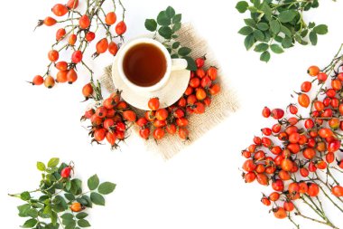 köpek rose hips ve bitkisel Te üzerinde beyaz bir arka plan