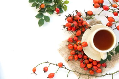 köpek rose hips ve bitkisel Te üzerinde beyaz bir arka plan