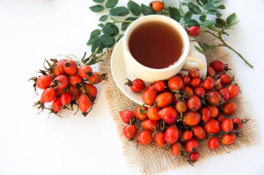 köpek rose hips ve bitkisel Te üzerinde beyaz bir arka plan