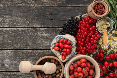Şifalı bitkiler ve otlar kompozisyon: köpek rose, grup şube kuşburnu, Rosa canina kalça, uçucu yağ türleri. bir grup, ıhlamur ve papatya elderberries ve goji meyveleri kuru çiçekler.